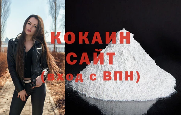 дживик Арсеньев