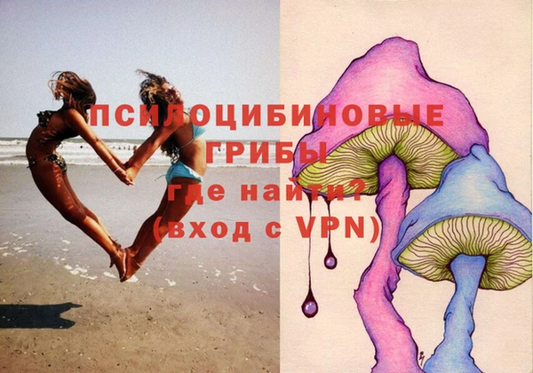 сатива Аркадак