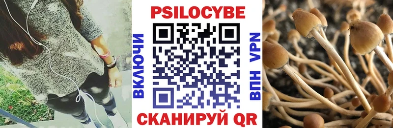 Галлюциногенные грибы Magic Shrooms  Тихвин 